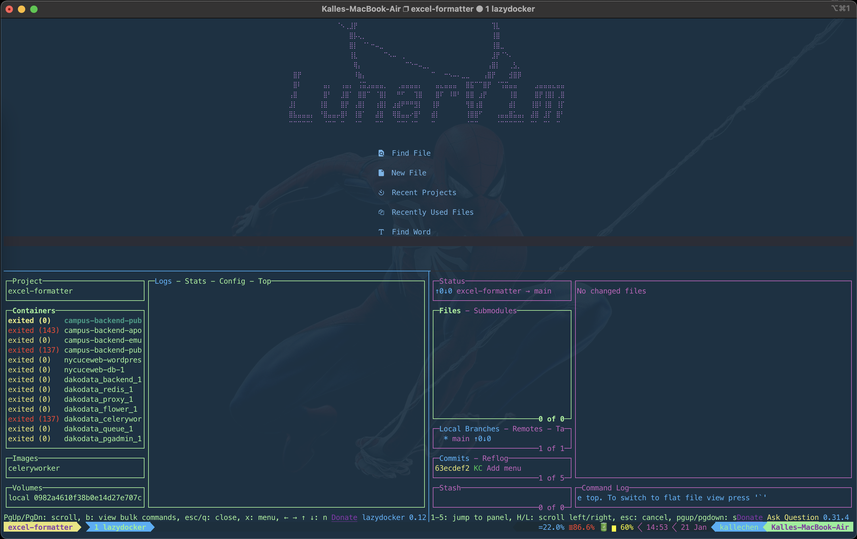 在介面同時上開了 vim，lzd，lg